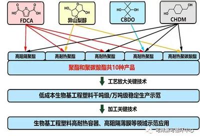 中科院寧波所生物基高分子團(tuán)隊(duì)獲批國(guó)家重點(diǎn)研發(fā)計(jì)劃項(xiàng)目，推動(dòng)生物基材料技術(shù)研發(fā)